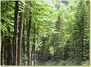 leistungen-1